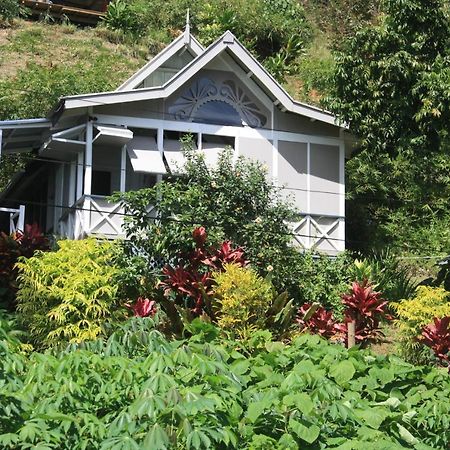 Gingerbread Cottage And Studio Fiji Savusavu Zewnętrze zdjęcie