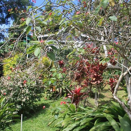 Gingerbread Cottage And Studio Fiji Savusavu Zewnętrze zdjęcie