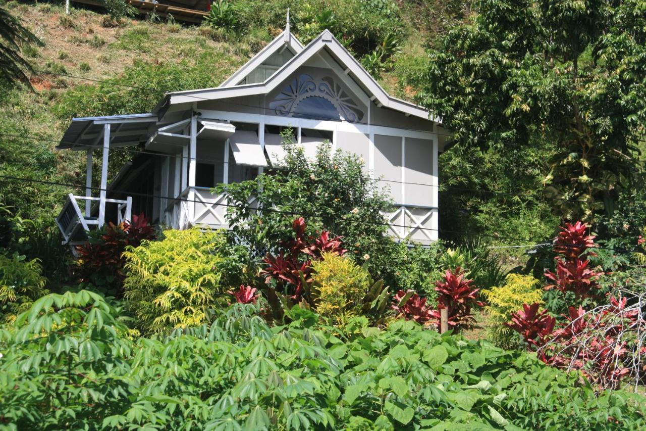 Gingerbread Cottage And Studio Fiji Savusavu Zewnętrze zdjęcie