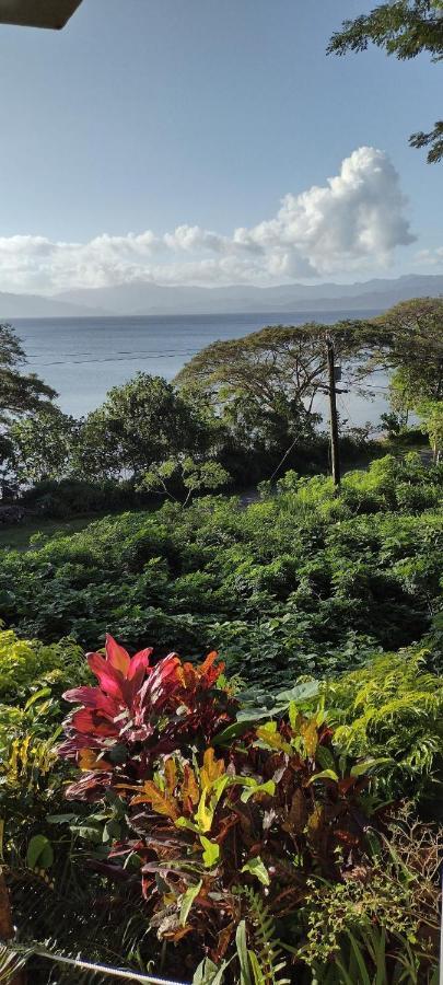 Gingerbread Cottage And Studio Fiji Savusavu Zewnętrze zdjęcie